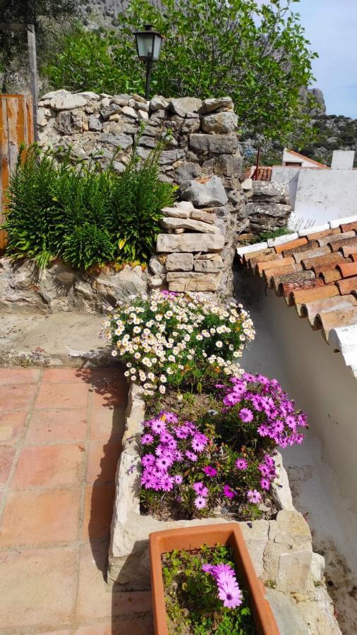 Casa Cabra Holiday home Montejaque