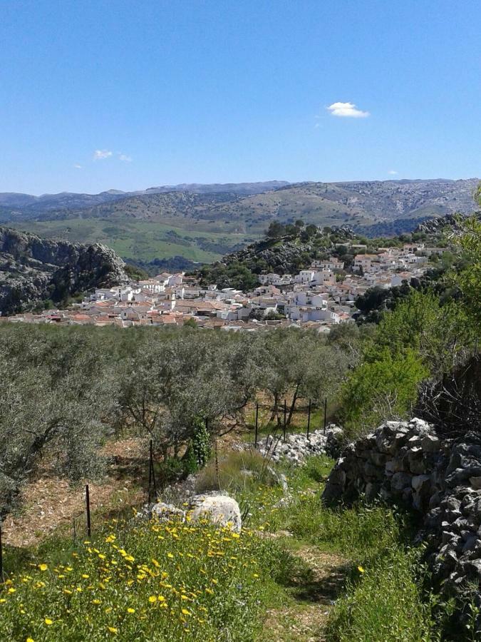 Holiday home Casa Cabra Montejaque